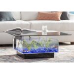 Claire 25 Gallons Rectangle Alanrium Tank - Image 5