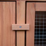 Heller Weather Resistant Hutch with Ramp - Image 6