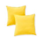 Shipton Indoor/Outdoor Throw Pillow (Set of 2) - Image 2