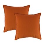 Sunbrella® Indoor/Outdoor Throw Pillow (Set of 2)