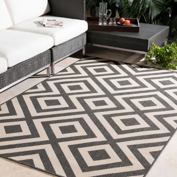 Smythe Black/Cream Indoor/Outdoor Rug - Image 3