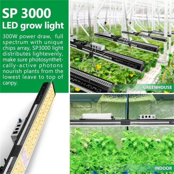 SP3000 LED Full Spectrum Grow Light Samsung LM301B Sunlight for Indoor Plants Veg Flower - Image 7