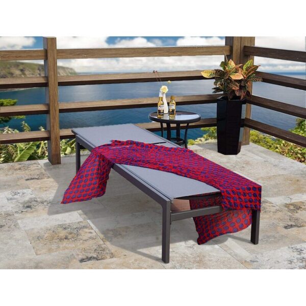 Speegle Outdoor Metal Chaise Lounge Set (Set of 2) - Image 2