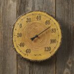 Springfield Tree Trunk Cross Section Polystone Thermometer