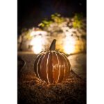 Squatty Pumpkin Luminary Lantern - Image 5