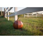 Squatty Pumpkin Luminary Lantern