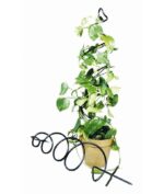 Stas 42'' H x 8'' W Iron Gothic Trellis - Image 5