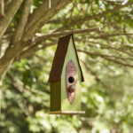 Strader 12 in x 5 in x 4 in Birdhouse - Image 5