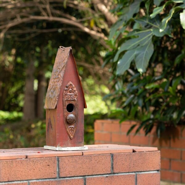 Strader 12 in x 5 in x 4 in Birdhouse - Image 9