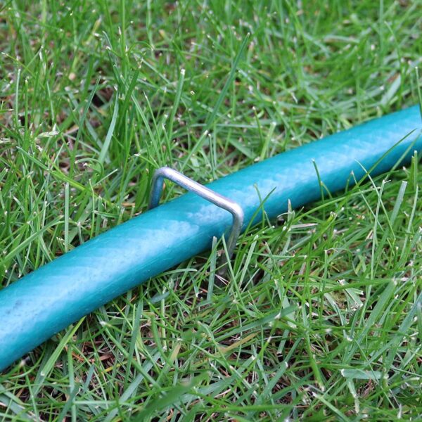 Tessa Garden Staples (Set of 25) - Image 2