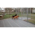 The Kennel Deck (Set of 3) - Image 2