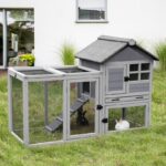 Theodis Weather Resistant Rabbit Hutch with Ramp - Image 3