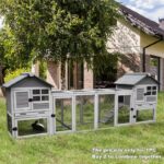 Theodis Weather Resistant Rabbit Hutch with Ramp - Image 4