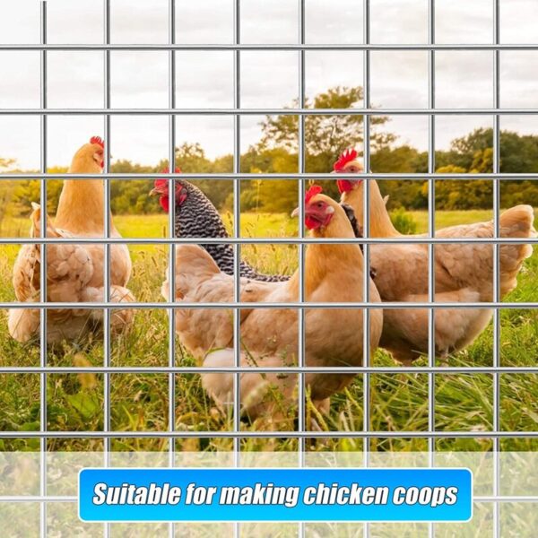 TOOCA Hardware Chicken Fencing - Image 5