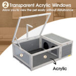 Tortoise House Terrarium - Image 7