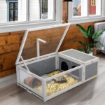 Tortoise House Terrarium - Image 2