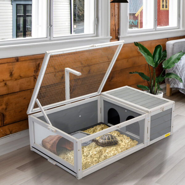 Tortoise House Terrarium - Image 2