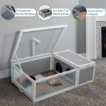 Tortoise House Terrarium - Image 6