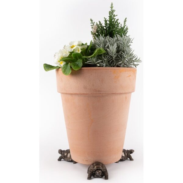 Tortoise Planter Feet - Image 2