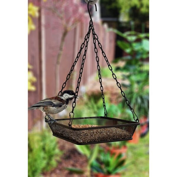 Tray Bird Feeder - Image 3