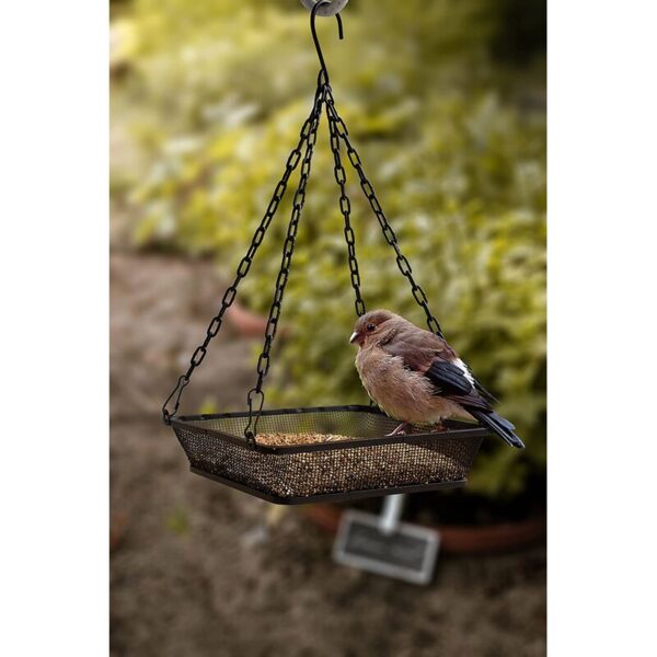 Tray Bird Feeder - Image 2