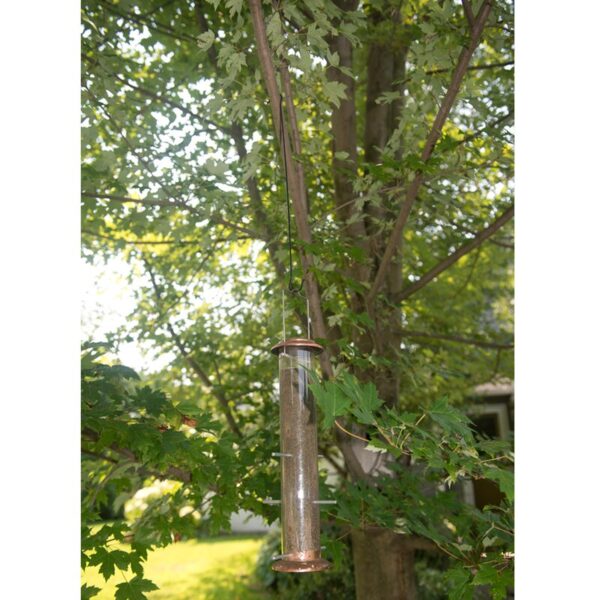 Tree Hanging Hook-Metal-Up to 24.8 Inch-Bird Feeder/Plants-No Tool-Set/5 (Set of 5) - Image 5