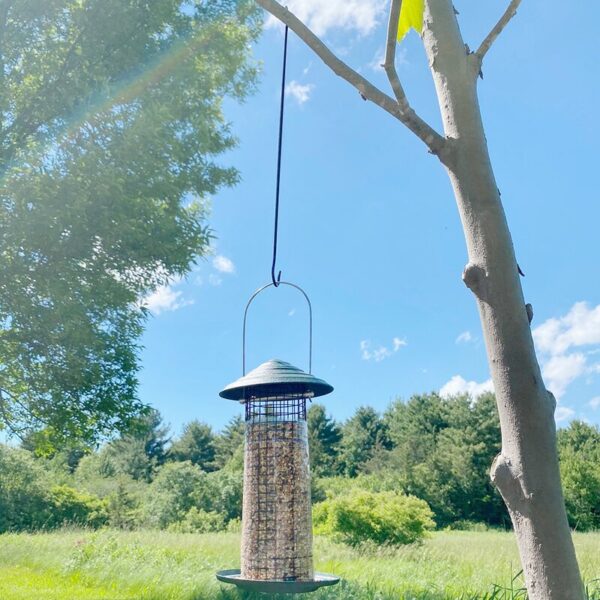 Tree Hanging Hook-Metal-Up to 24.8 Inch-Bird Feeder/Plants-No Tool-Set/5 (Set of 5) - Image 8