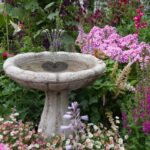 Tucker Murphy Petâ„¢ Solar Bird Bath And Water Fountain With 4 Different Nozzle Heads - Perfect For Bird Baths And Small Ponds - Image 3