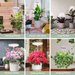 Umbrella Plus Grow Light - Image 5