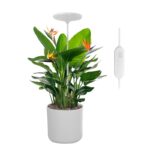 Umbrella Plus Grow Light
