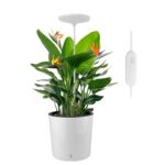 Umbrella Plus Grow Light - Image 2