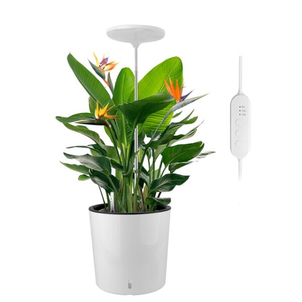 Umbrella Plus Grow Light - Image 2