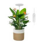 Umbrella Plus Grow Light - Image 3