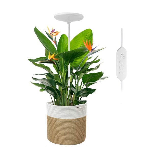 Umbrella Plus Grow Light - Image 3