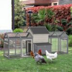 Verena 29.9 Square Feet Chicken Coop with Chicken Run - Image 3