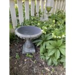 Vioria Birdbath - Image 6