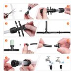 Watering and Maintenance