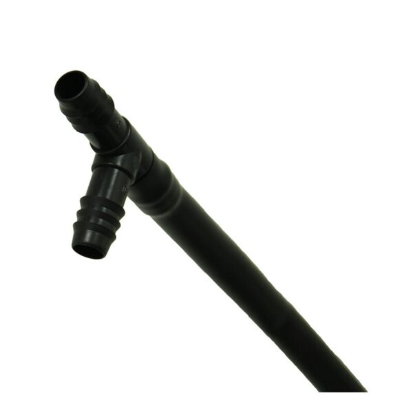 Watering and Maintenance - Image 3