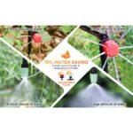 Watering and Maintenance - Image 7