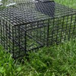 Weather Resistant Cage - Image 5