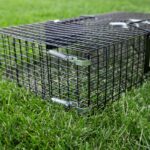 Weather Resistant Cage - Image 6