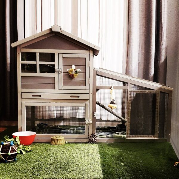 Weather Resistant Rabbit Hutch with Ramp - Image 2