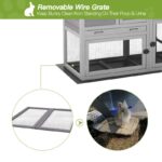 Weather Resistant Rabbit Hutch with Ramp - Image 6