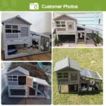 Weather Resistant Rabbit Hutch with Ramp - Image 4