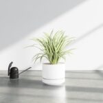 White Byer Ceramic Pot Planter - Image 4