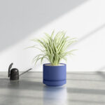White Byer Ceramic Pot Planter - Image 10