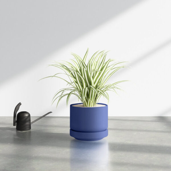 White Byer Ceramic Pot Planter - Image 10