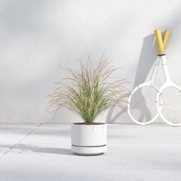 White Byer Ceramic Pot Planter - Image 3