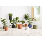 White Byer Ceramic Pot Planter - Image 7