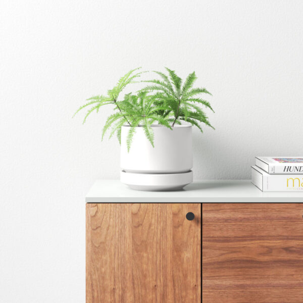 White Byer Ceramic Pot Planter - Image 5